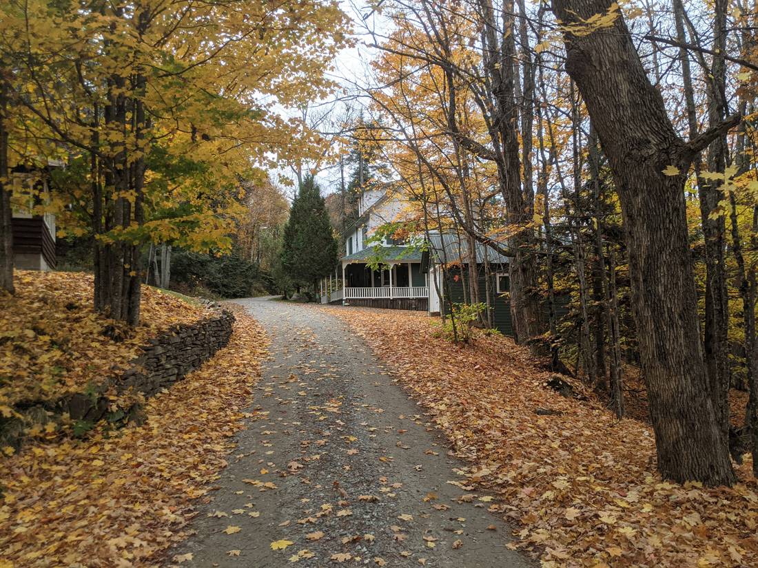 Road covered in leaves leading to rental house